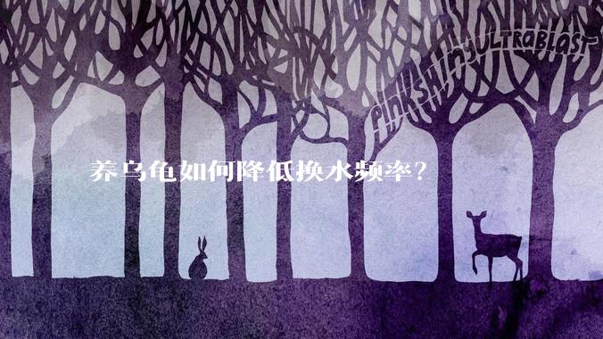 养乌龟如何降低换水频率？