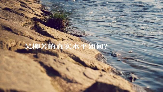 吴柳芳的真实水平如何？